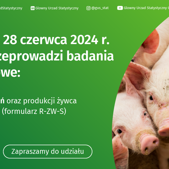 Badanie pogłowia świń oraz produkcji żywca wieprzowego (R-ZW-S)