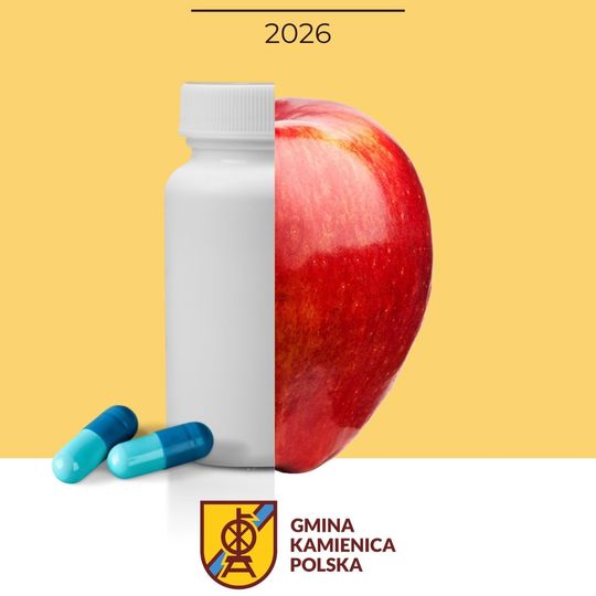 Dofinansowanie projektów profilaktycznych ze środków Gminnego Programu ds. Profilaktyki i Rozwiązywania Problemów Alkoholowych Gminy  Kamienica Polska