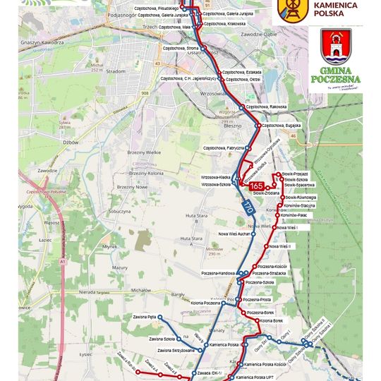 🚌 NOWE POŁĄCZENIA AUTOBUSOWE 🚌