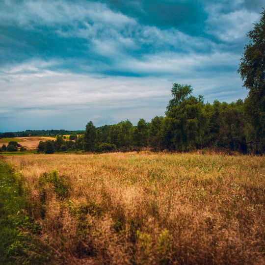 Przyroda na terenie Gminy Kamienica Polska