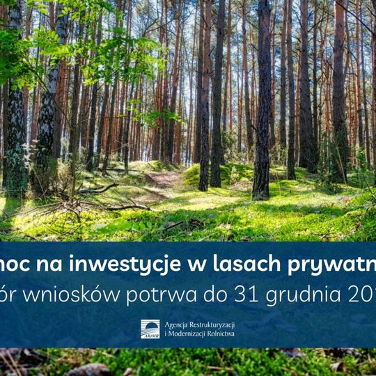 Rusza pomoc na inwestycje w lasach prywatnych 