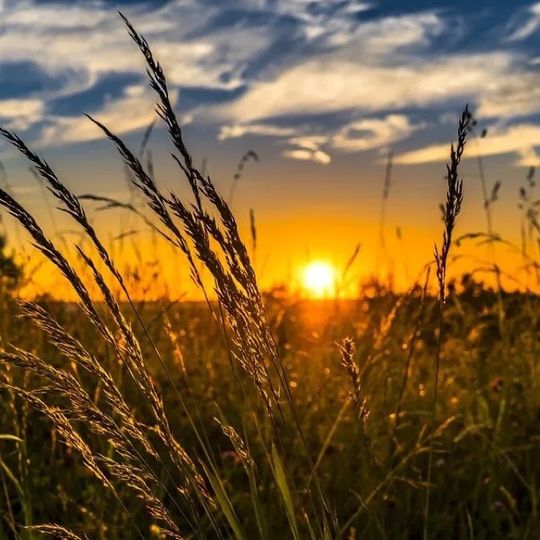 Ruszyła kolejna edycja konkursu „Piękna Wieś Województwa Śląskiego”! 🌾