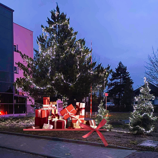 Szanowni Mieszkańcy Gminy Kamienica Polska,