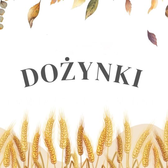 XXIV DOŻYNKI POWIATOWE 🌼