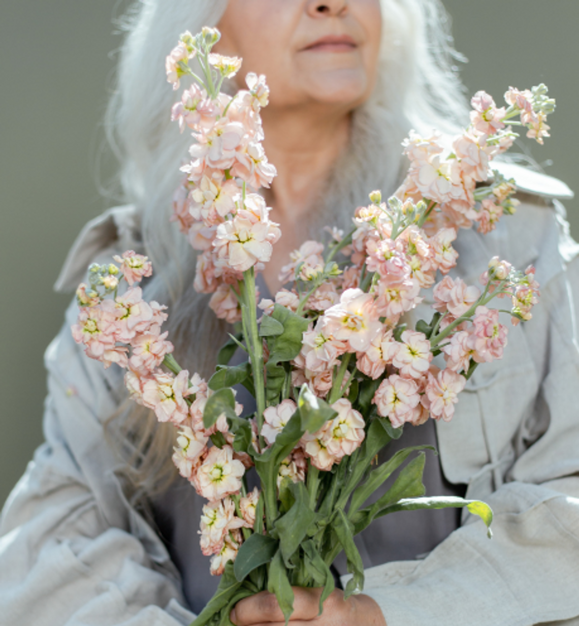 🌸 1 PAŹDZIERNIKA - MIĘDZYNARODOWY DZIEŃ SENIORA 🌸