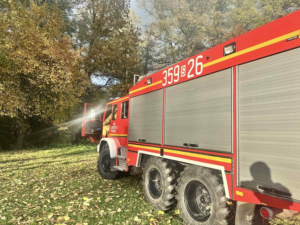 👨‍👩‍👧‍👦🚒 Mały druh – wielki zuch! 🚨👧👦