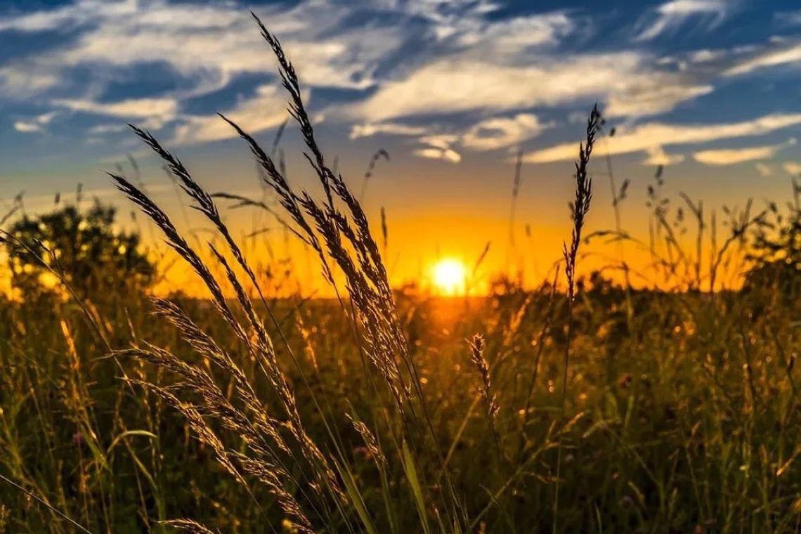 Ruszyła kolejna edycja konkursu „Piękna Wieś Województwa Śląskiego”! 🌾