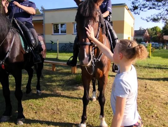 Piknik Rodzinny w Rudniku Wielkim