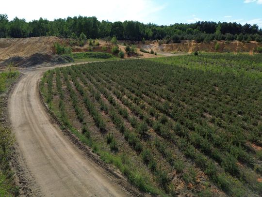 Kopalnia piasku w Zawisnej Kopalnia piasku w Zawisnej